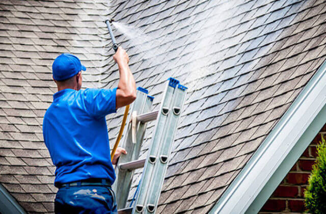 spring field roof cleaning