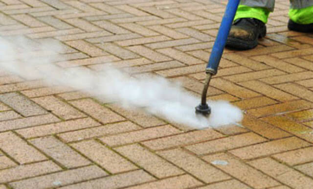 gum removal in spring field